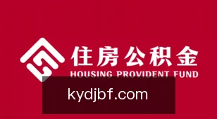 开云电竞比分