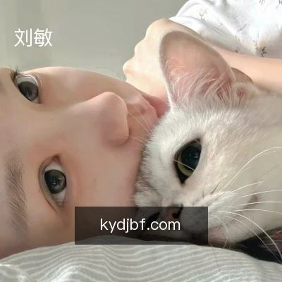 刘敏